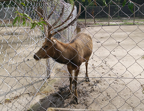 不鏽鋼圍網